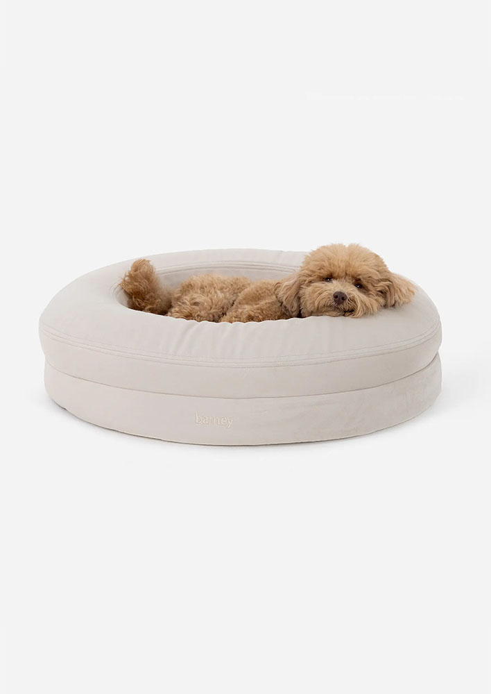 BarneyCurl Signature Bed