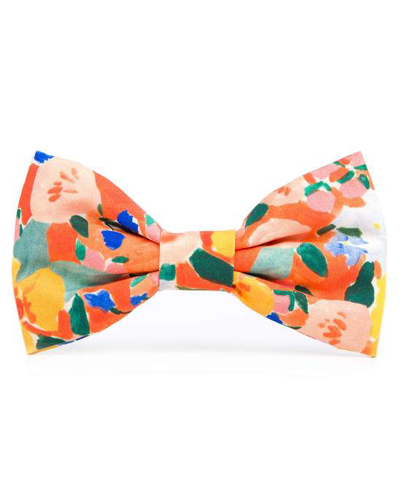 clementine-dog-bow-tie-from-the-foggy-dog-133798_550x550