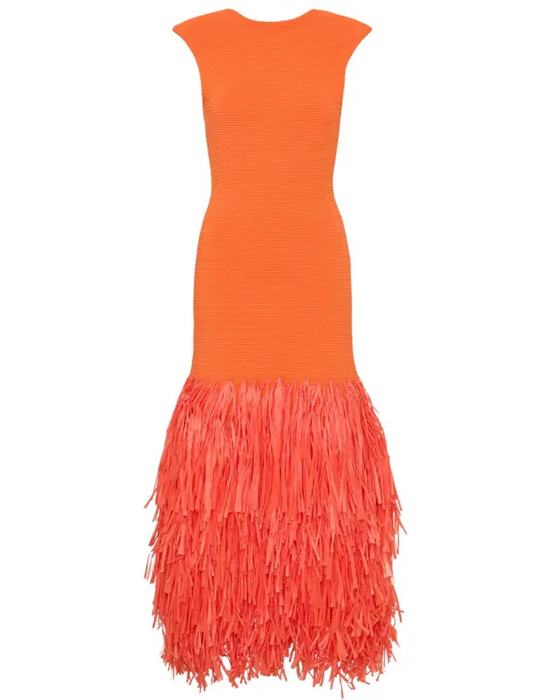 11_DAY_Aje-Raffia-Midi-Dress